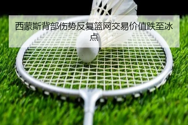 xi-meng-si-bei-bu-shang-shi-fan-fu-lan-wang-jiao-yi-jia-zhi-die-zhi-bing-dian-2-929.jpg