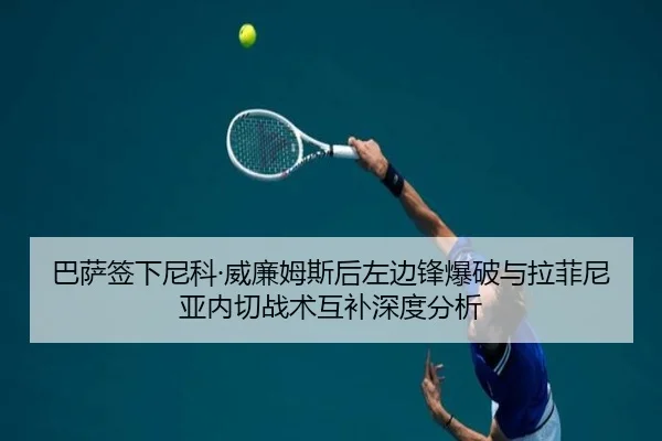 ba-sa-qian-xia-ni-ke-wei-lian-mu-si-hou-zuo-bian-feng-bao-po-yu-la-fei-ni-ya-nei-qie-zhan-shu-hu-bu-shen-du-fen-xi-2-860.jpg